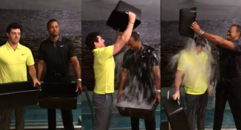 TigerRoryIcebucket_large