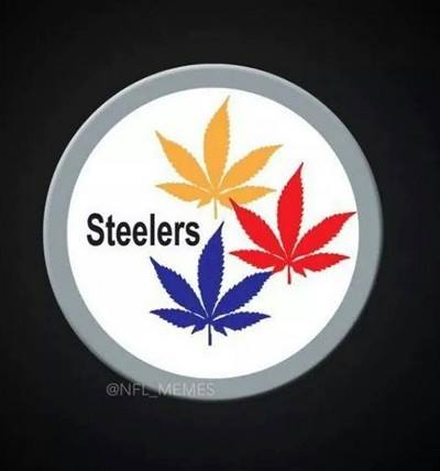 10440969_428378833966746_1230862644747068165_n