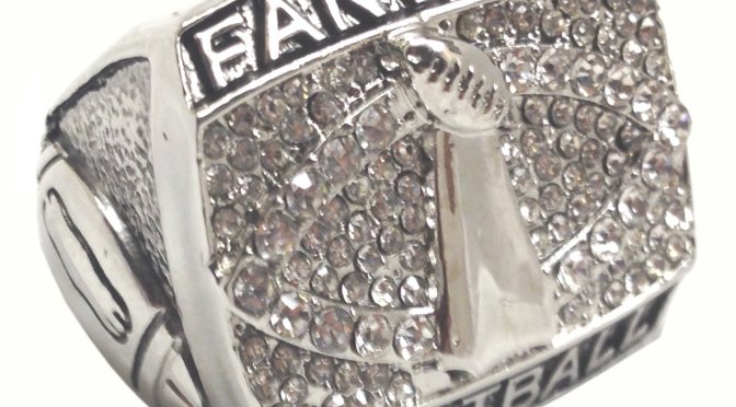 The WN Fantasy Football Report: Week 12 Starts and Sits